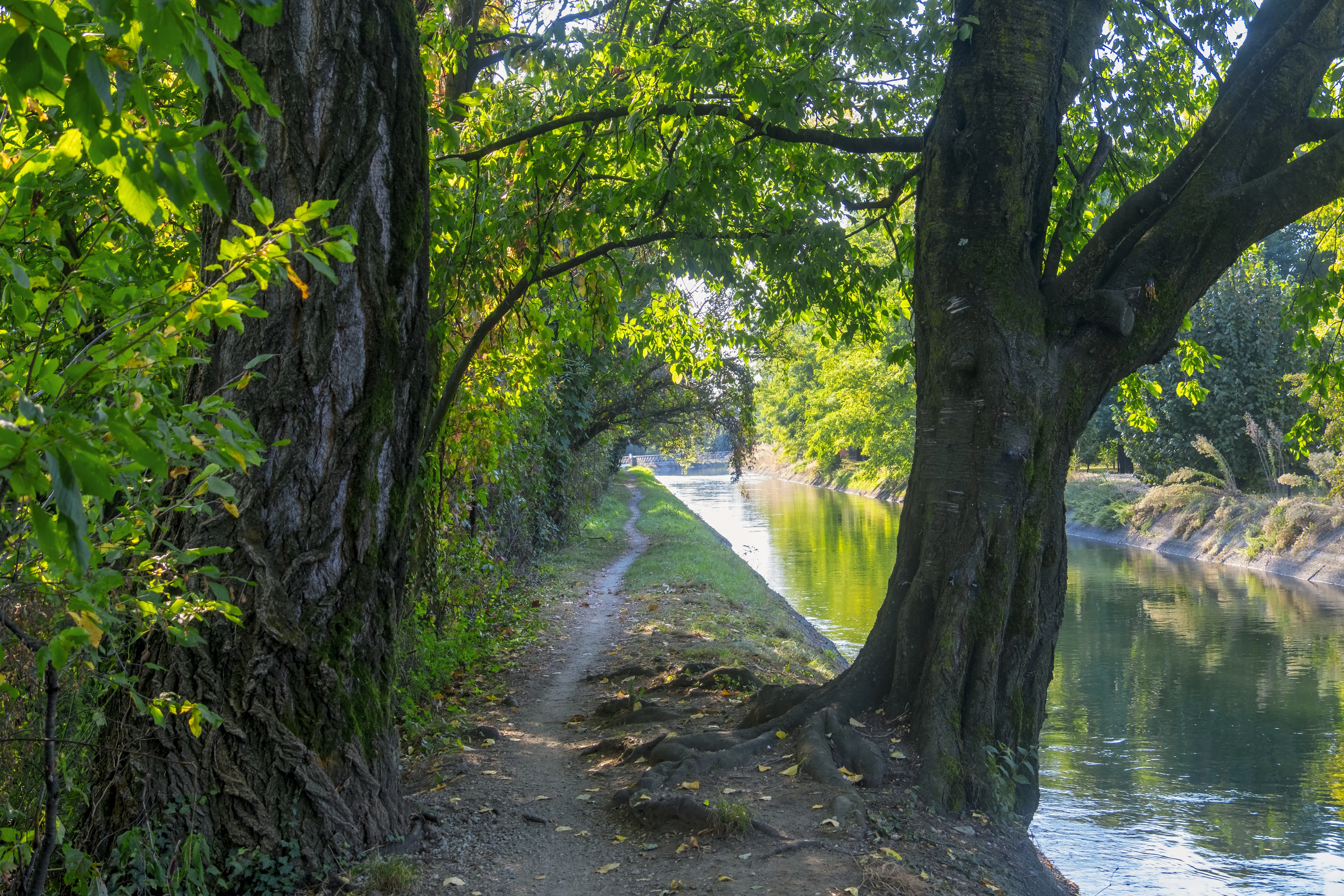 Parco del Ticino